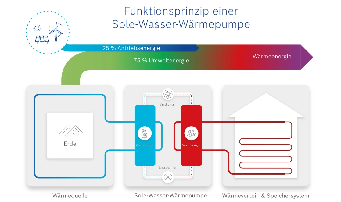 Infografik zur Funktion einer Sole-Wasser-Wärmepumpe