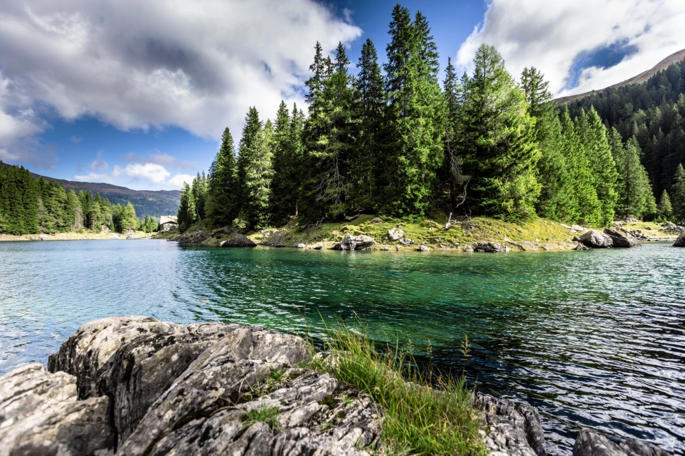Landscape with a lake and some trees on an island