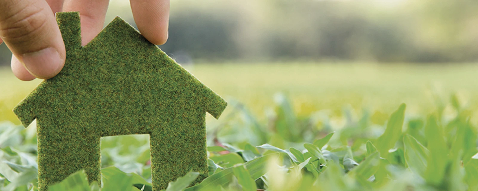 A small, green felt house stands on a green field.