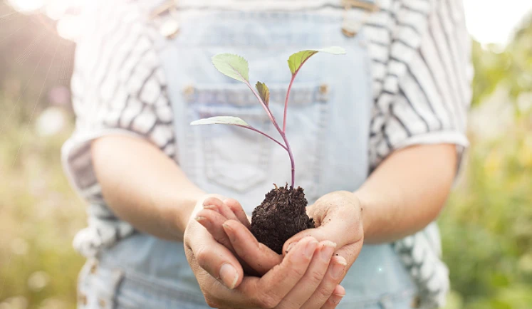 Een jonge vrouw houdt een jonge boom op haar handen