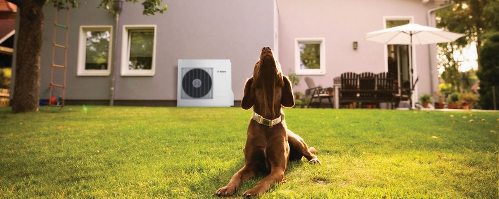 Hond met daarachter een buitenunit van een warmtepomp Hond met daarachter een buitenunit van een warmtepomp
