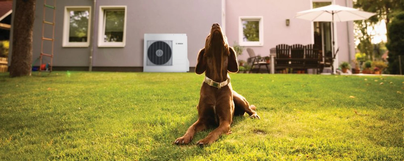 Hond met daarachter een buitenunit van een warmtepomp