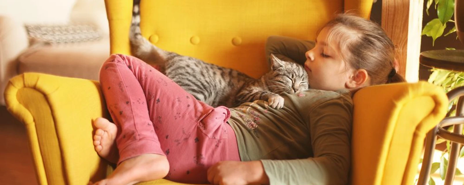 Meisje die met een kat aan het knuffelen is