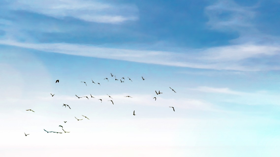 Sky view Sky view
