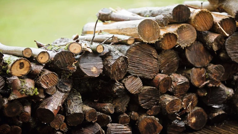 Gestapeltes Holz liegt auf einer Wiese.