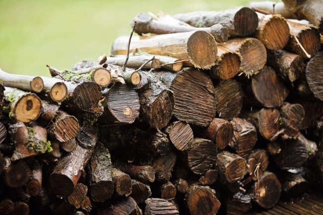 Baumstämme liegen aufeinander gestapelt auf einer Grünfläche.