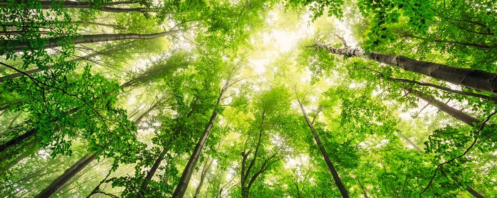 Eine Frau sitzt im Garten und im Hintergrund steht die CS7400i AW