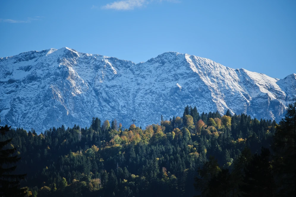 Im Vordergrund ist ein bewaldeter Hügel zu sehen, im Hintergrund schneebedeckte Berge.