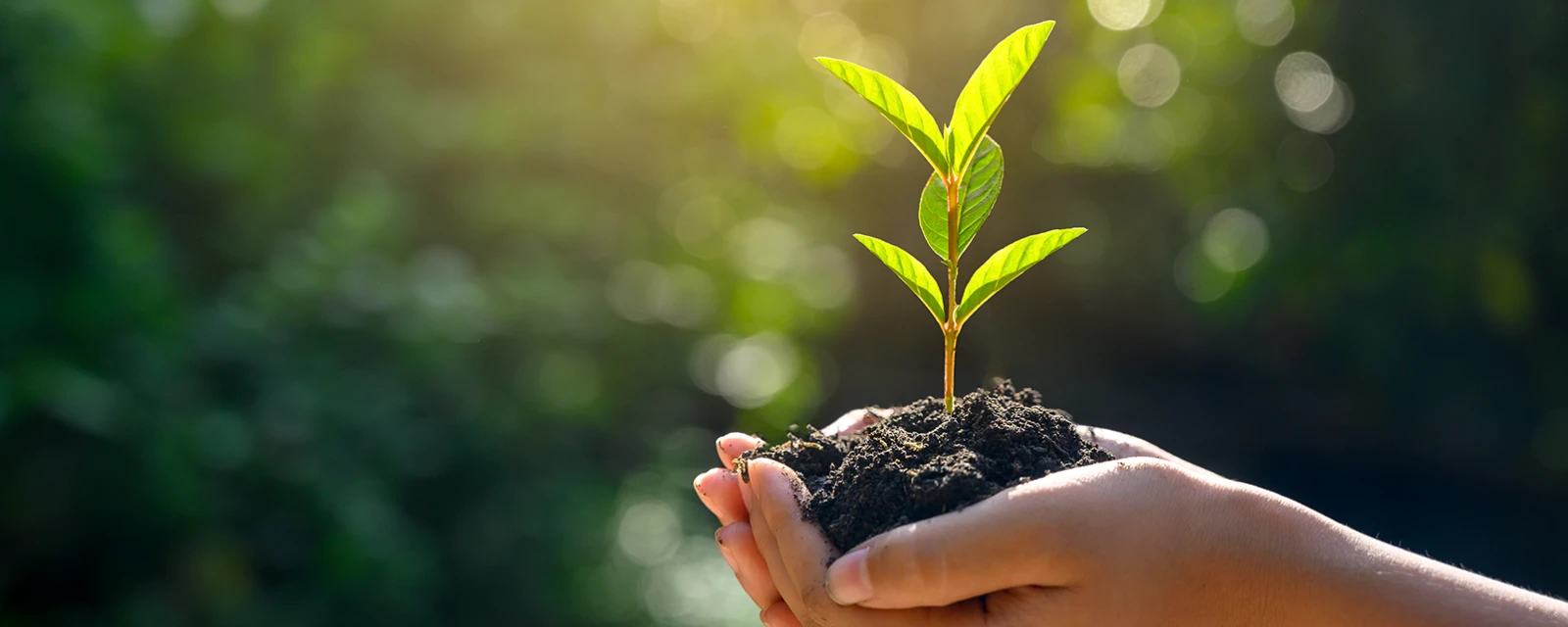 Einfach Förderung erhalten