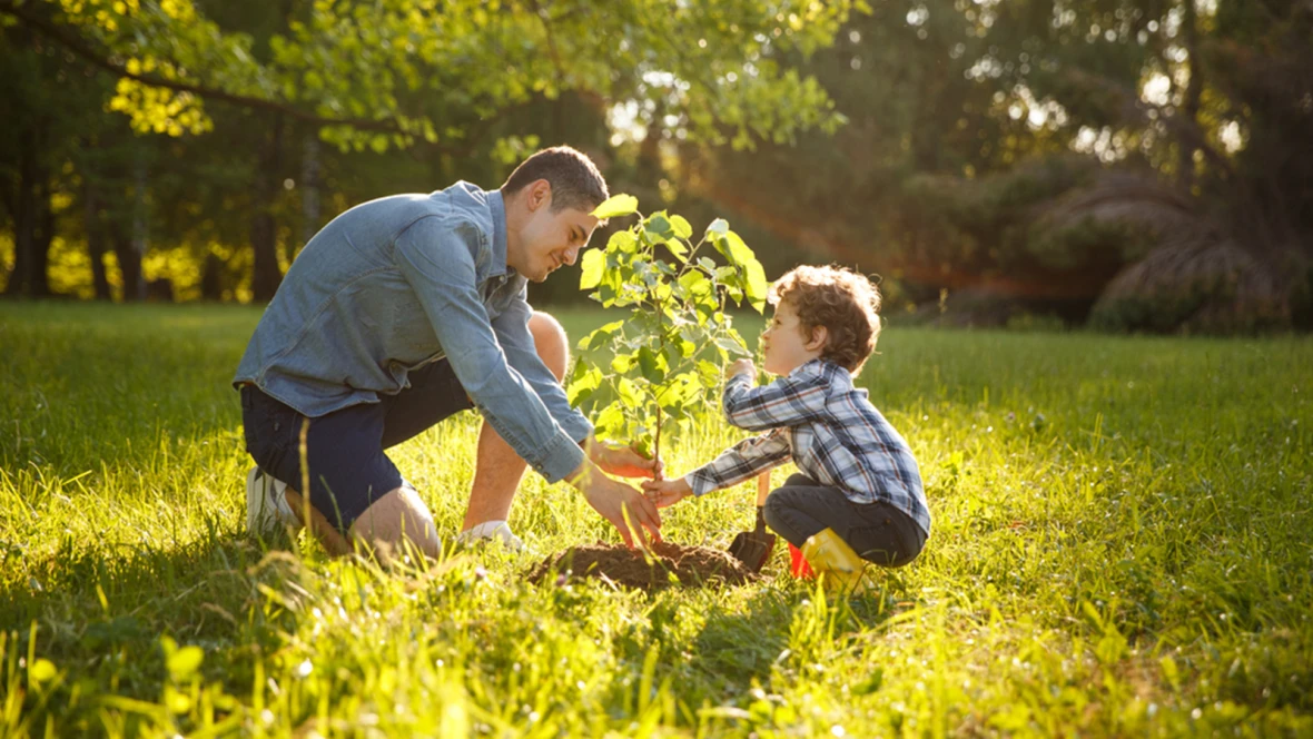 Vater und Sohn pflanzen einen neuen Baum gemeinsam.