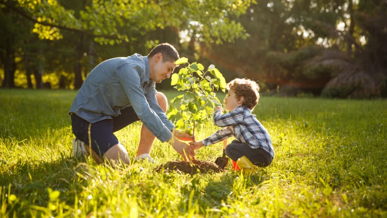Vater und Sohn pflanzen einen Baum im Garten.