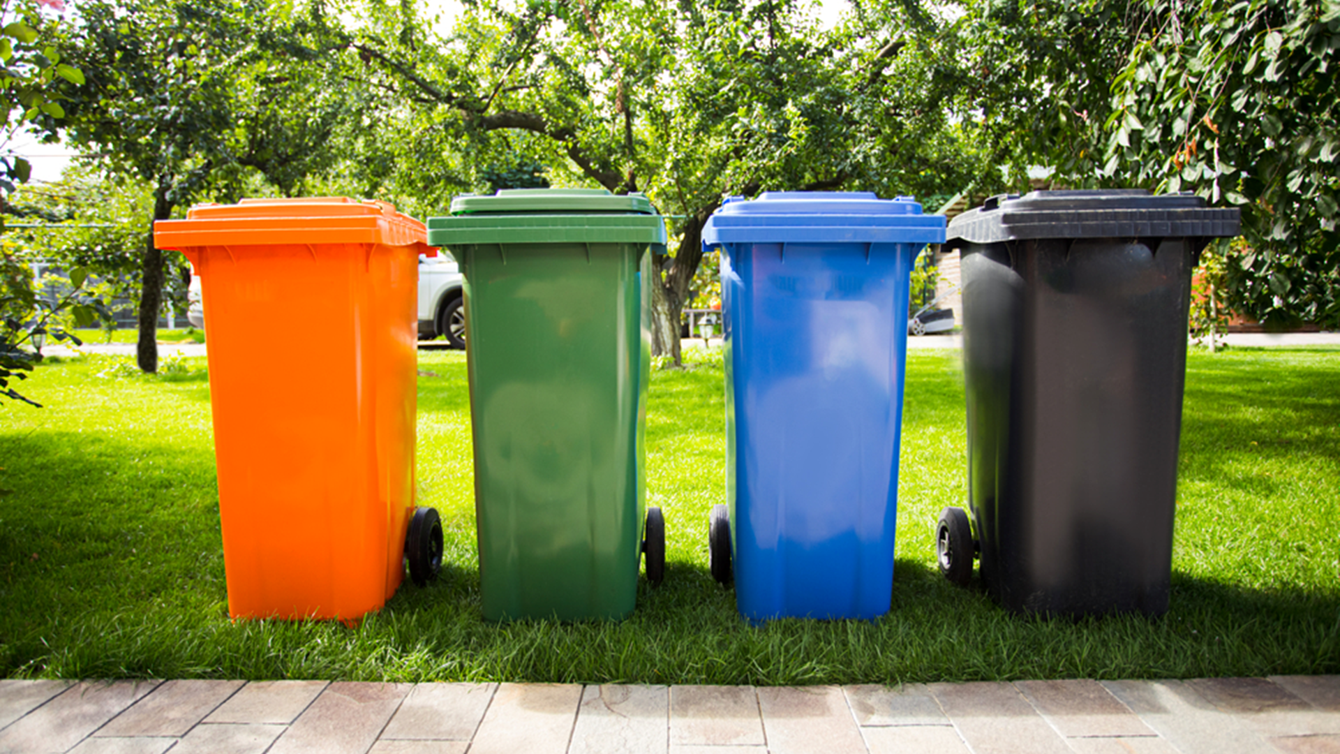 Vier Mülltonnen in verschiedenen Farben