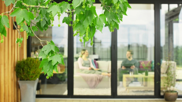 Ein Baumast voll mit Blüten vor der Terasse im Gartenbereich, im Haus zwei Personen, die auf dem Sofa sitzen.