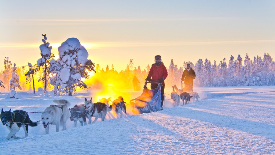 Schlittentouren mit Huskys
