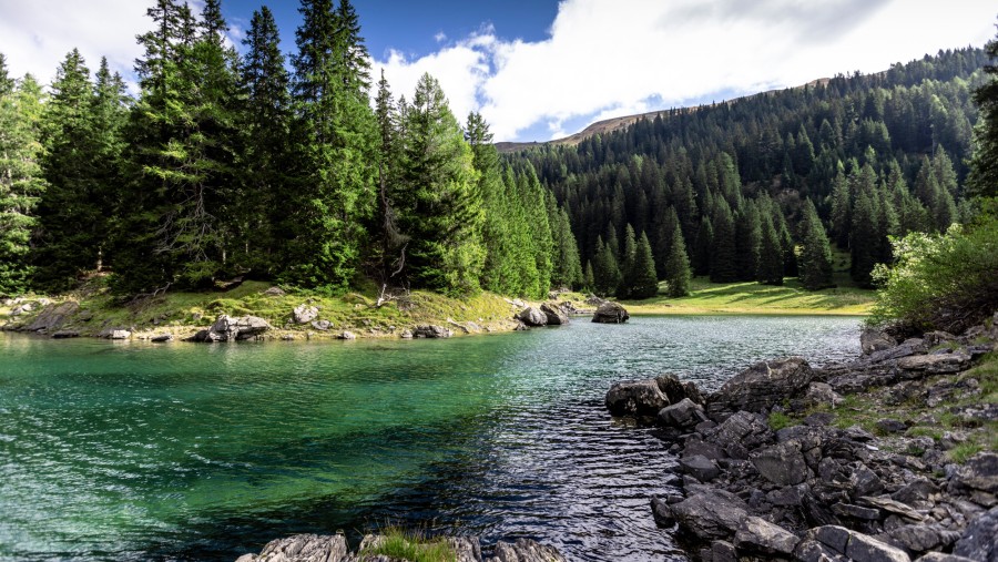 Bild zeigt grüne Landschaft mit blauem Wasser. Bild zeigt grüne Landschaft mit blauem Wasser.