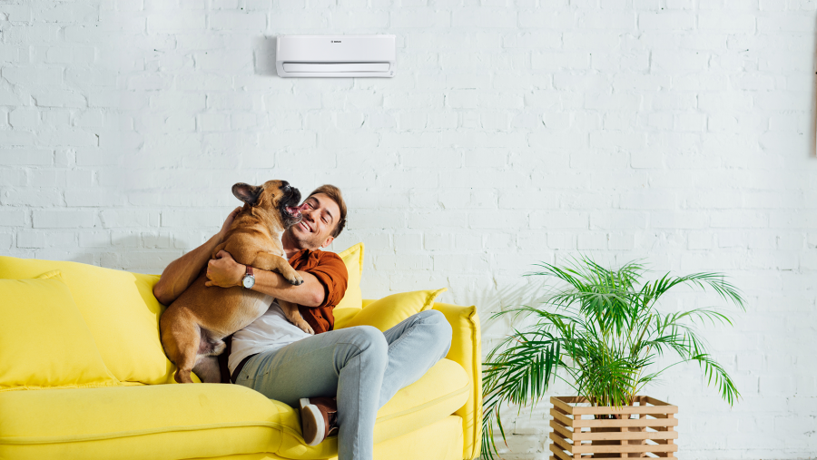 Mann sitzt mit seinem Hund auf einem gelben Sofa und im Hintergrund ist ein Klimagerät zu sehen. Mann sitzt mit seinem Hund auf einem gelben Sofa und im Hintergrund ist ein Klimagerät zu sehen.