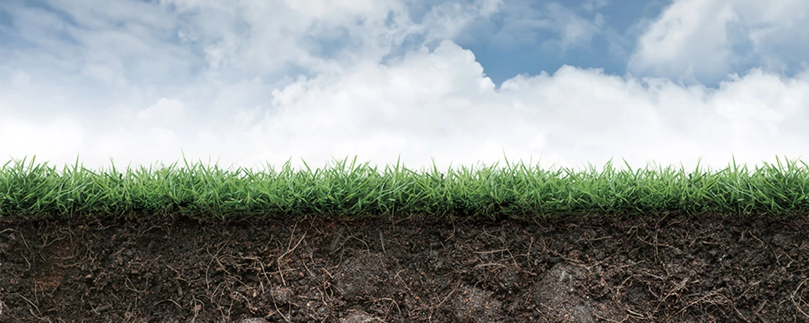 Sección transversal, mostrando el cielo nublado, el suelo cubierto de hierba y la tierra debajo.