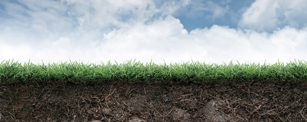 Uso de energías renovables: un paso más contra el cambio climático