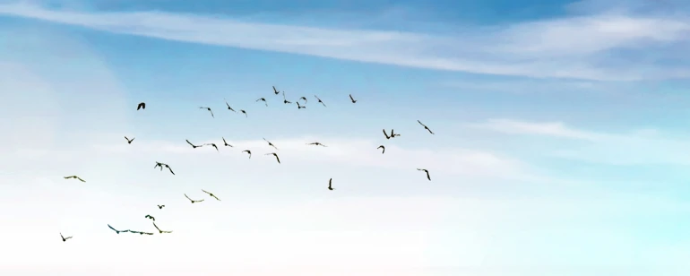 Aire - Bomba de calor aire aire