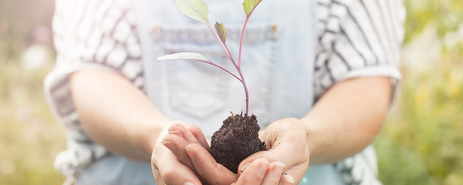 Responsabilidad social en Bosch