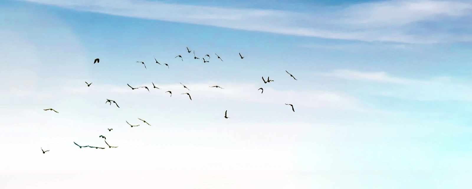 Aire - Bomba de calor aire aire