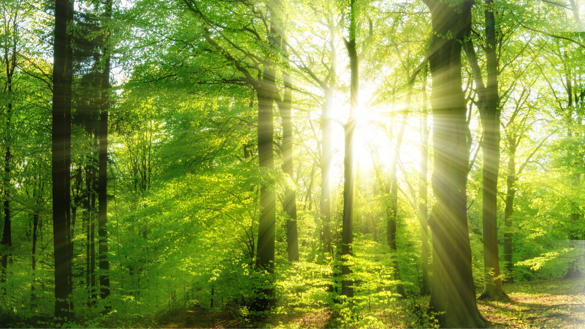 Jornada Fotovoltaica, Hidrógeno y Comunidades Energéticas Jornada Fotovoltaica, Hidrógeno y Comunidades Energéticas