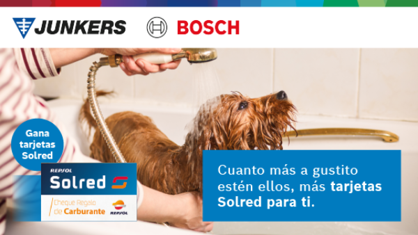 tarjetas solred