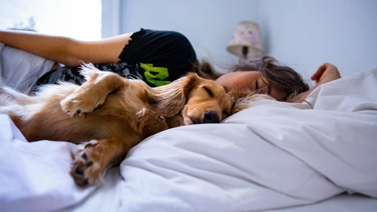 Aires acondicionados silenciosos: ideales para todos los hogares