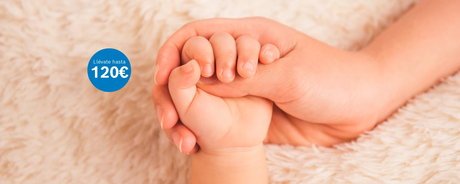 Campañas Calderas Murales