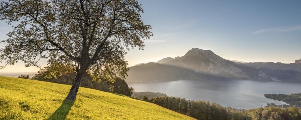 Paysage avec lac