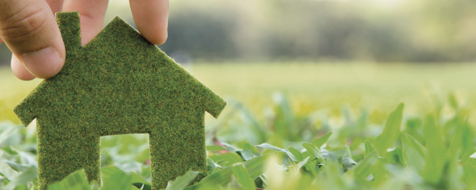 Une petite maison en feutre vert se dresse sur une pelouse verdoyante.