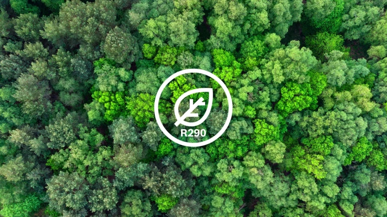 Forest image. Environment protection.