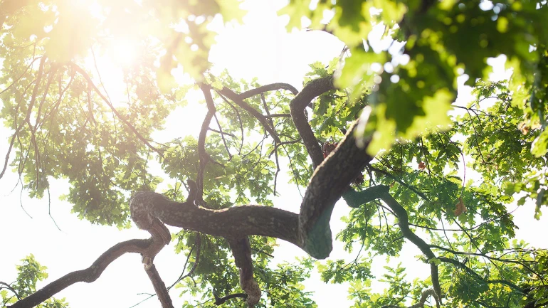 energia solare termica