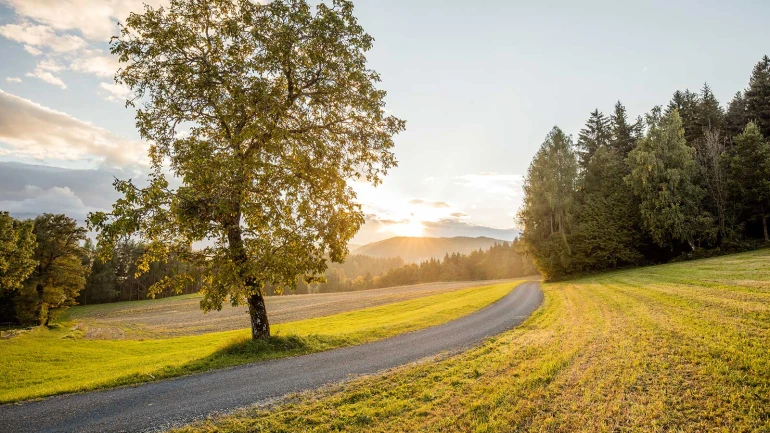 Il rispetto dell’ambiente