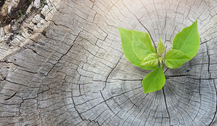 Ecodesign caldaie: la normativa