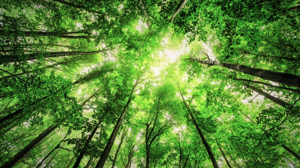 energia solare termica