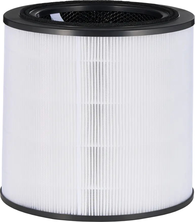 Filtres de remplacement pour purificateurs d'air Bosch