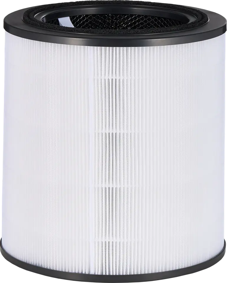 Filtres de remplacement pour purificateurs d'air Bosch