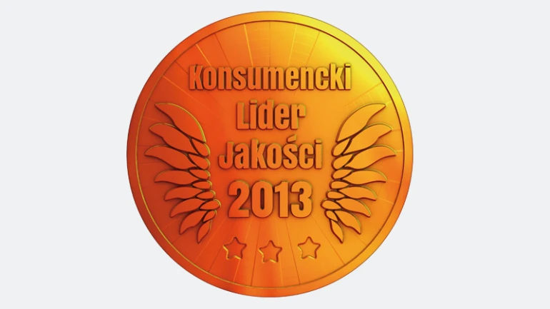 2013 rok