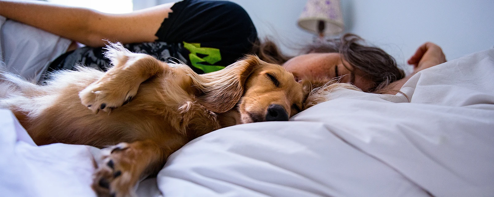 ar condicionado silencioso