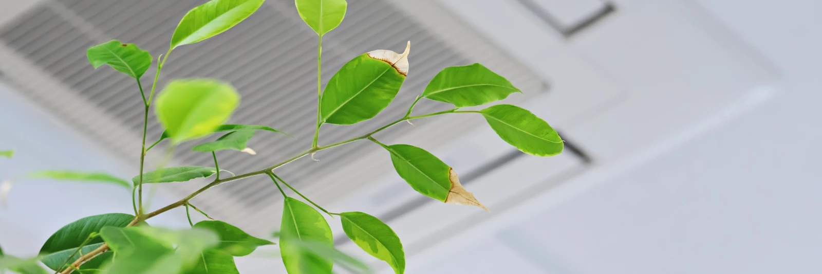 Manutençao ar condicionado tipo cassette