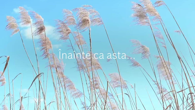 Aer condiționat Bosch