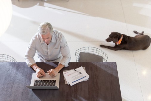 Aplicații și intrumente utile