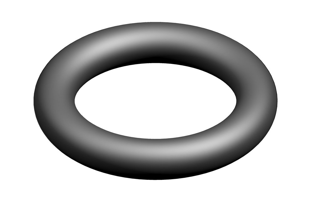 O-Ring (10x)